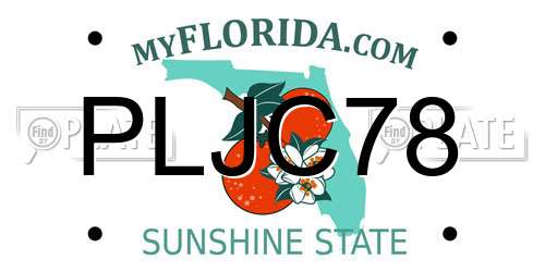 PLJC78 Florida License Plate