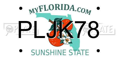 PLJK78 Florida License Plate