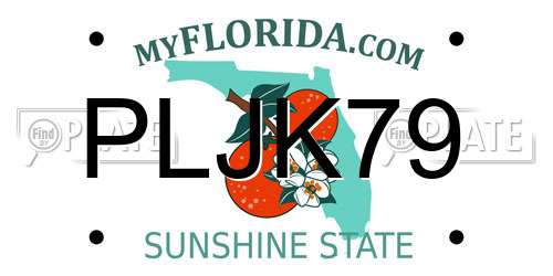 PLJK79 Florida License Plate