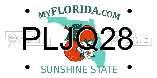 PLJQ28 Florida License Plate