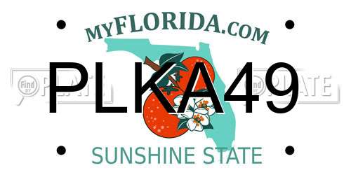 PLKA49 Florida License Plate