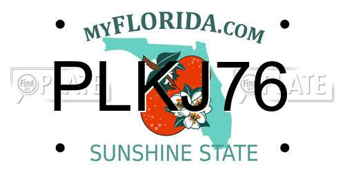PLKJ76 Florida License Plate