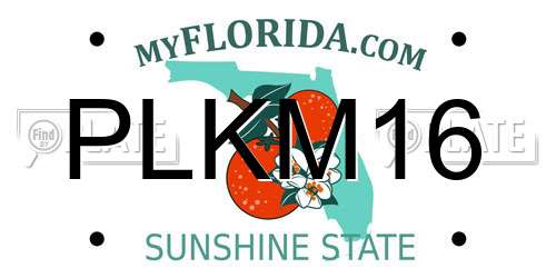 PLKM16 Florida License Plate
