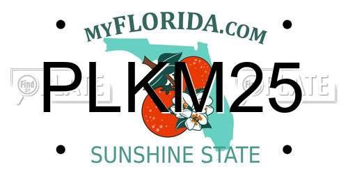 PLKM25 Florida License Plate