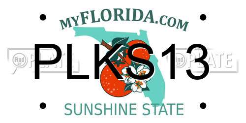PLKS13 Florida License Plate