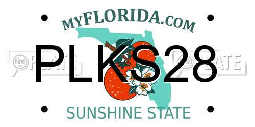 PLKS28 Florida License Plate