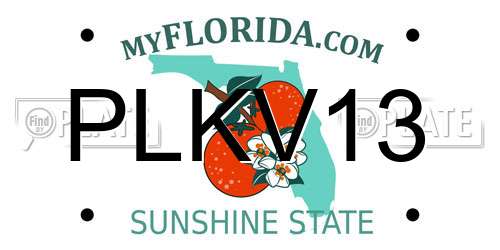 PLKV13 Florida License Plate