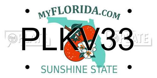 PLKV33 Florida License Plate