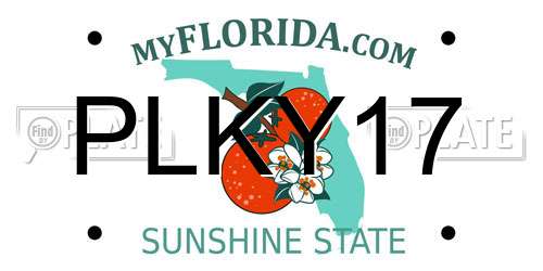 PLKY17 Florida License Plate