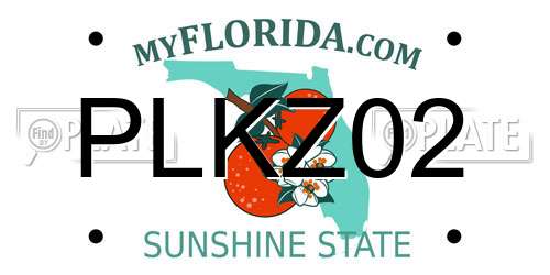 PLKZ02 Florida License Plate