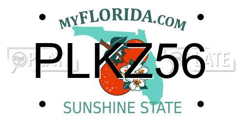 PLKZ56 Florida License Plate