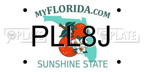 PLL8J Florida License Plate