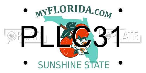 PLLC31 Florida License Plate