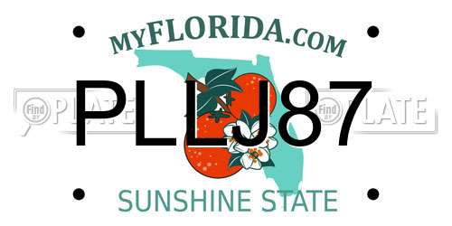 PLLJ87 Florida License Plate