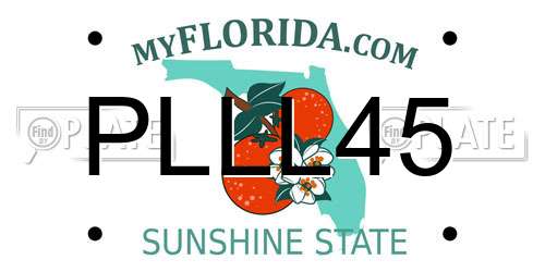 PLLL45 Florida License Plate