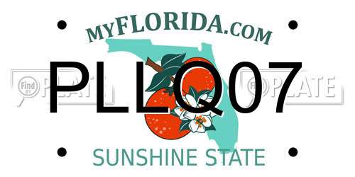 PLLQ07 Florida License Plate
