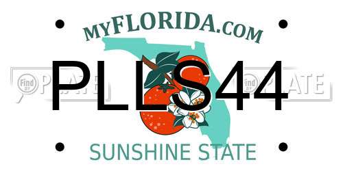 PLLS44 Florida License Plate