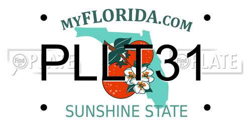 PLLT31 Florida License Plate