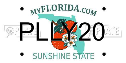 PLLY20 Florida License Plate