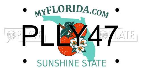 PLLY47 Florida License Plate