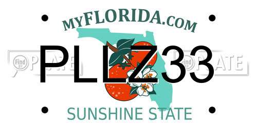 PLLZ33 Florida License Plate