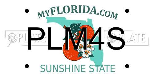 PLM4S Florida License Plate