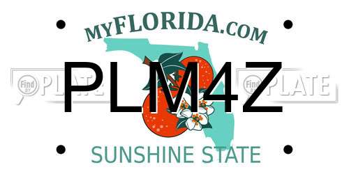 PLM4Z Florida License Plate