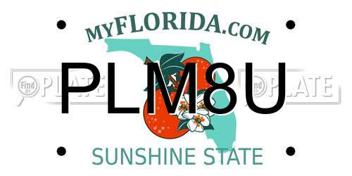 PLM8U Florida License Plate