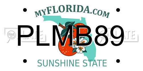PLMB89 Florida License Plate