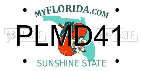 PLMD41 Florida License Plate