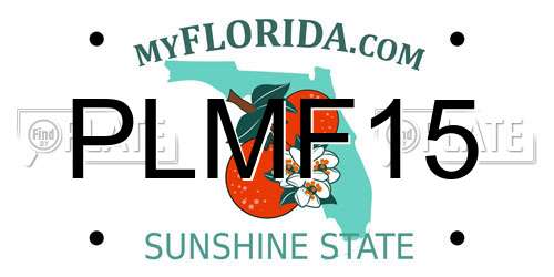 PLMF15 Florida License Plate