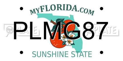 PLMG87 Florida License Plate