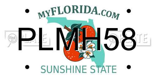 PLMH58 Florida License Plate