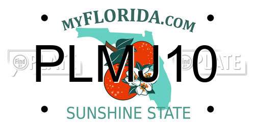 PLMJ10 Florida License Plate