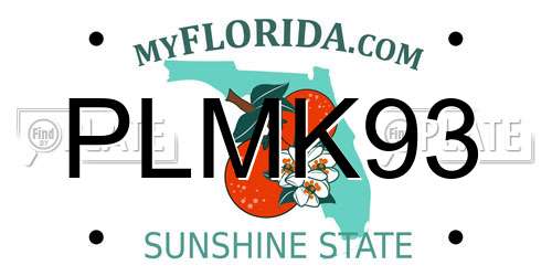 PLMK93 Florida License Plate