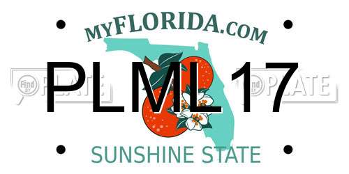 PLML17 Florida License Plate