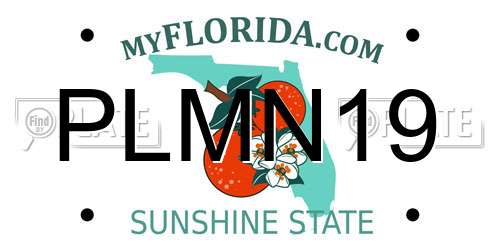 PLMN19 Florida License Plate