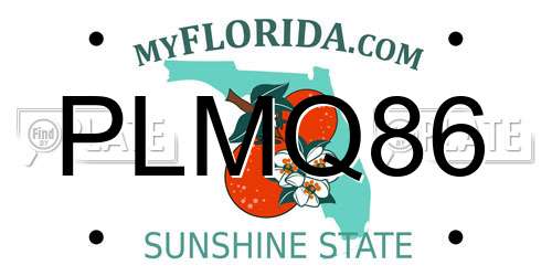 PLMQ86 Florida License Plate