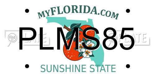 PLMS85 Florida License Plate