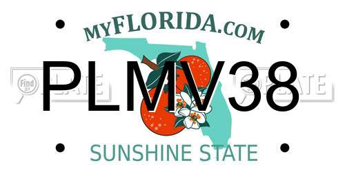PLMV38 Florida License Plate