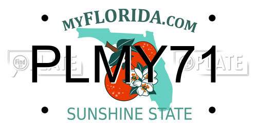 PLMY71 Florida License Plate