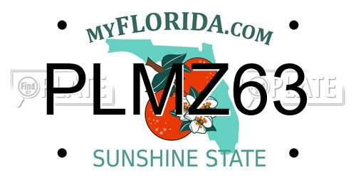 PLMZ63 Florida License Plate