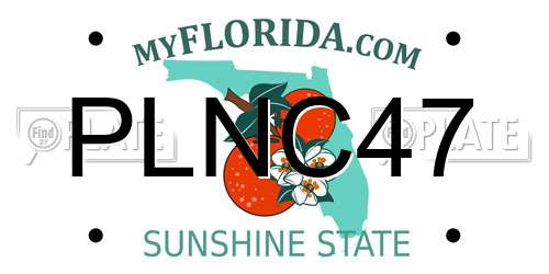 PLNC47 Florida License Plate