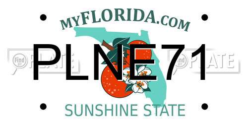 PLNE71 Florida License Plate