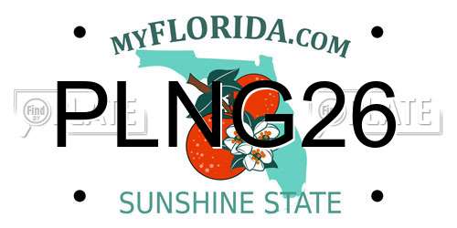 PLNG26 Florida License Plate