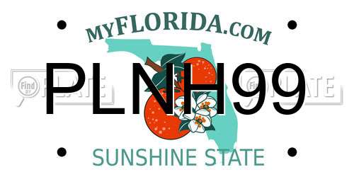 PLNH99 Florida License Plate