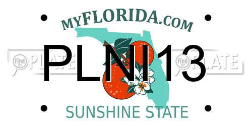 PLNI13 Florida License Plate