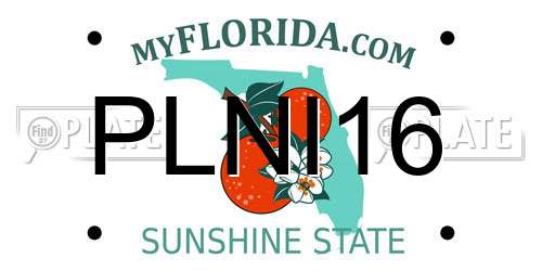 PLNI16 Florida License Plate