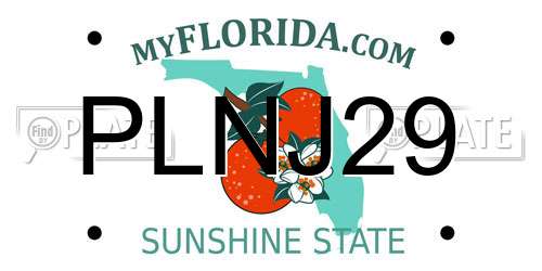 PLNJ29 Florida License Plate