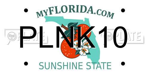 PLNK10 Florida License Plate